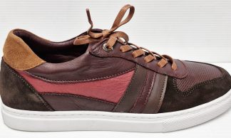 Adesso Raya Berry
