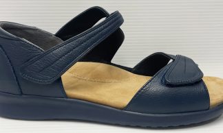 Ziera Bazra Navy