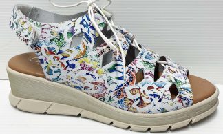 Catalinas Sister White Multi