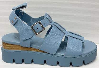 Django & Juliette Relie New Blue