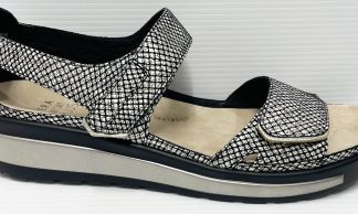 Ziera Gedd Black/Gold