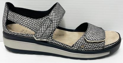 Ziera Gedd Black/Gold