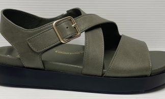 Ziera Glynice Olive