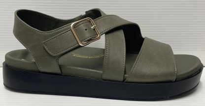 Ziera Glynice Olive