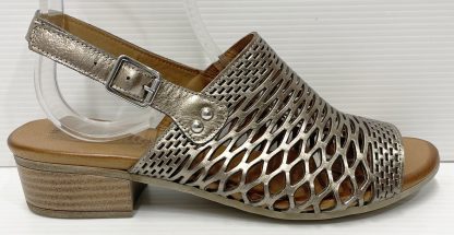 Cabello Alaca Pewter