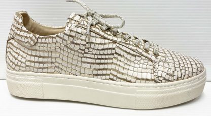 Wave 6025 Gold/Ivory