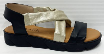 XBonita Matilda Black