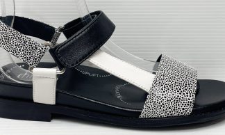 Chrissie Fawn Black/White/Print